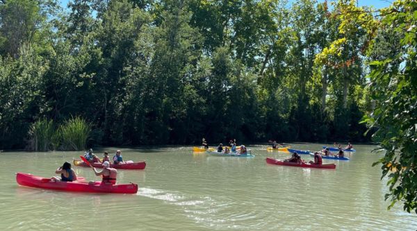Ruta en kayak para colegios en Aranjuez