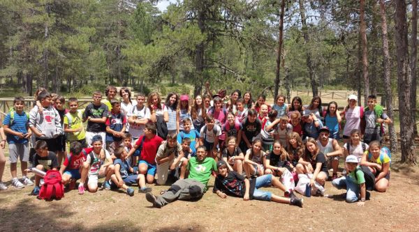 Excursiones escolares en Madrid