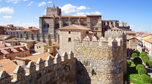 Visita guiada colegios en Ávila