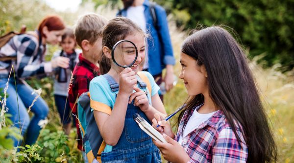 ¿Cómo organizar una excursión escolar?
