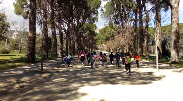 EXCURSIONES PARA ESCOLARES EN EL ESCORIAL