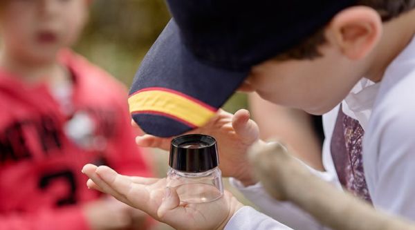 Excursión escolar a la Silla de Felipe II