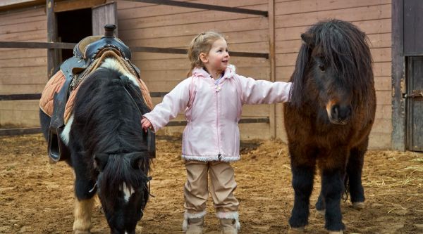 Excursiones con animales para centros educativos en Madrid