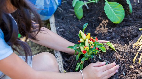 Excursiones con animales para colegios en Madrid