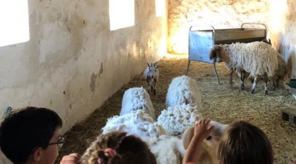 Viaje de fin de curso granja escuela en Madrid