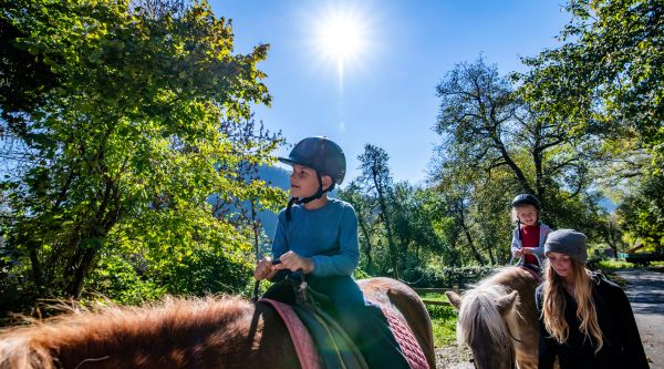 Equitación para colegios en Madrid