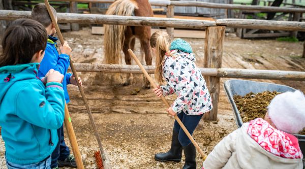 Excursión escolar con caballos en Madrid