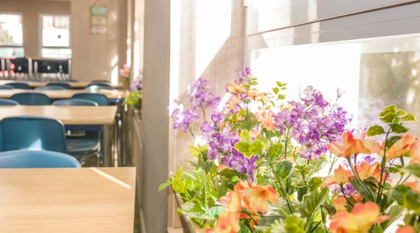 Viaje de fin de curso guadarrama