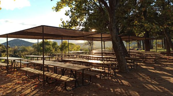 Zona de merendero en fina los almorchones