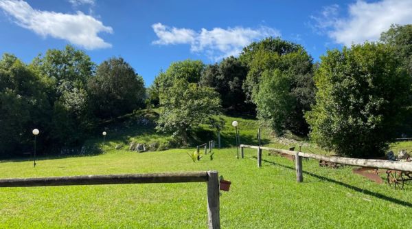 Zonas deportivas del viaje escolar en ribadelsella para primaria y secundaria