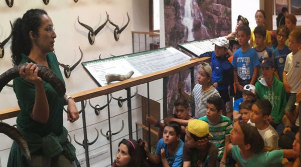 Actividades fin de curso en Plansecia