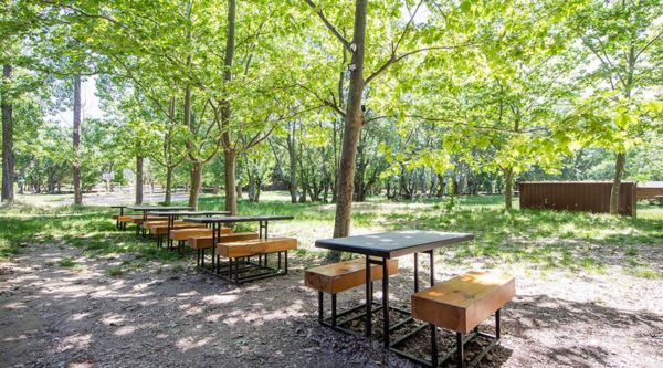 Viaje de estudios Buitrago de Lozoya