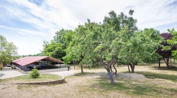 Viaje fin de curso en Buitrago de Lozoya