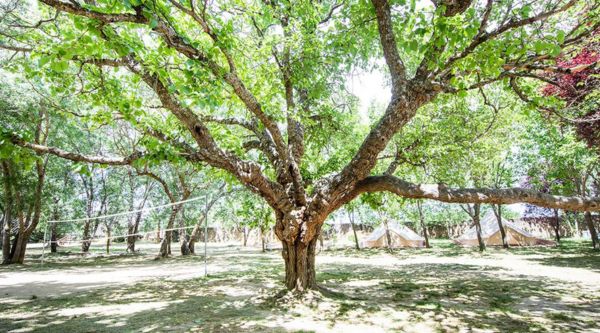 Viajes escolares buitrago de lozoya