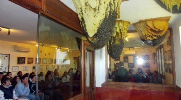 Agencia de viajes fin de curso para Ávila