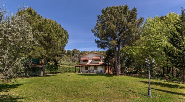 Viaje de estudios en Ávila para 6º de primaria