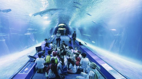 agencia de viajes de fin de curso a Oliva