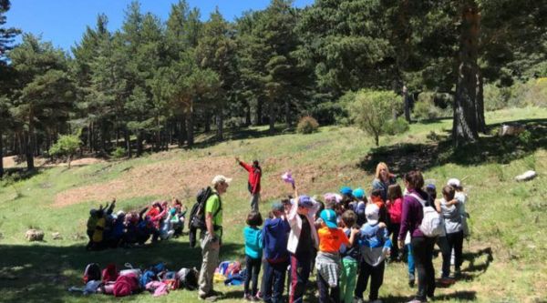 Experiencia multiaventura para colegios en la Pedriza