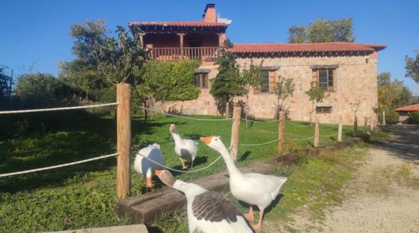 Viaje de Fin de Curso en el Entorno del Alberche
