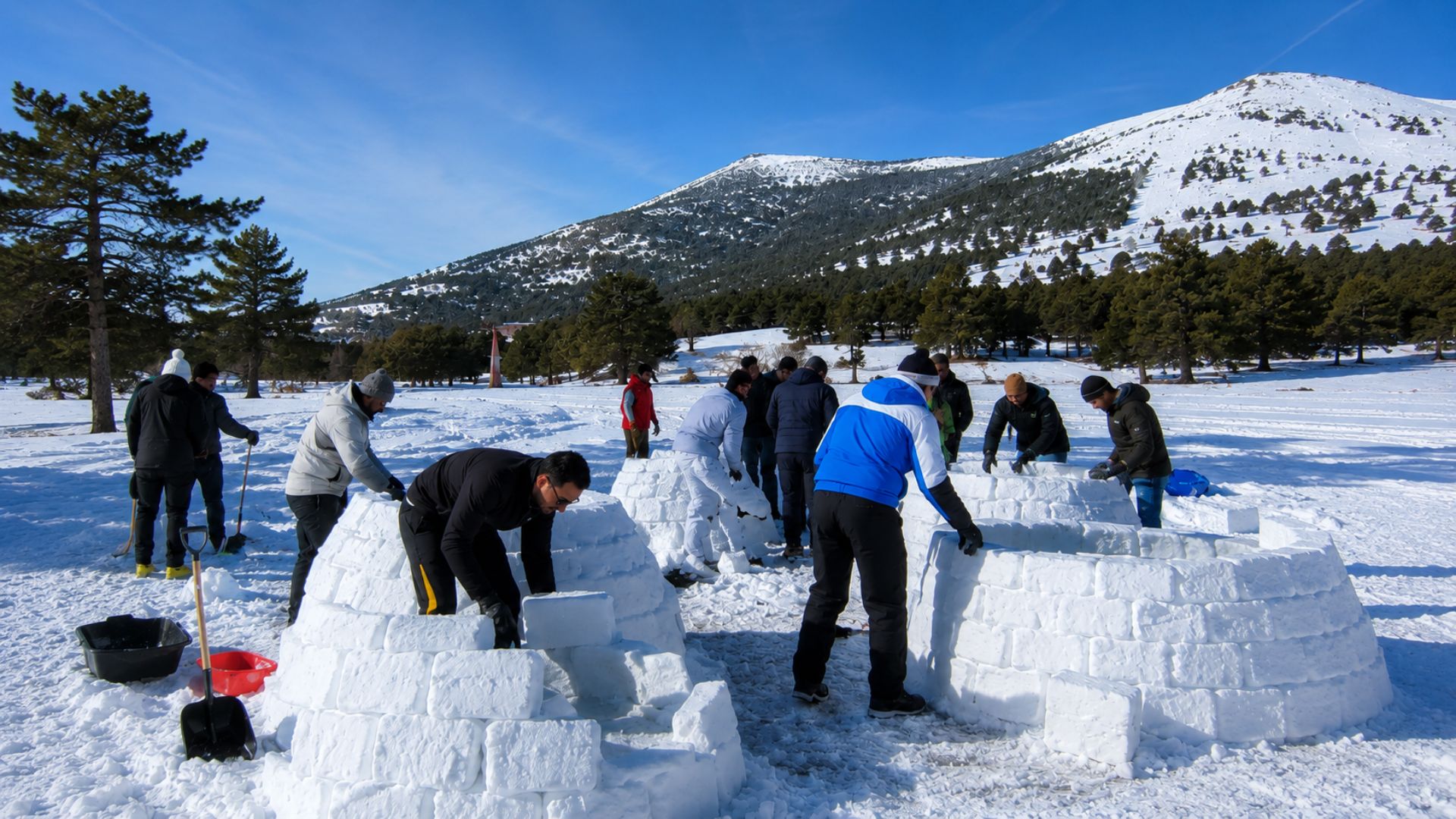 Team building en la nieve en Madrid